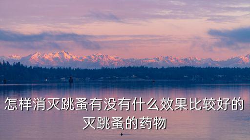 怎樣消滅跳蚤有沒有什么效果比較好的滅跳蚤的藥物