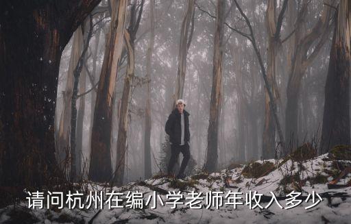 請問杭州在編小學老師年收入多少