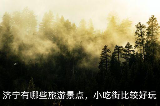 濟寧有多少個街,一個月工資大概有多少