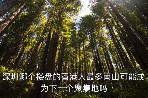 深圳哪個樓盤的香港人最多南山可能成為下一個聚集地嗎