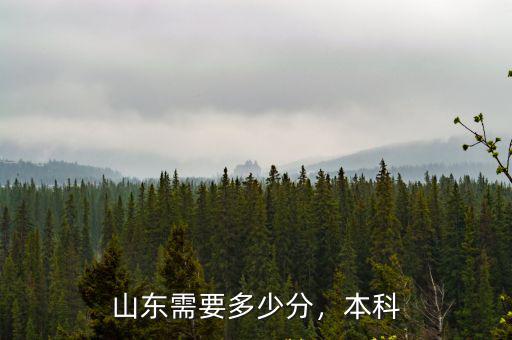 山東需要多少分，本科