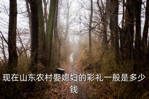 現(xiàn)在山東農(nóng)村娶媳婦的彩禮一般是多少錢