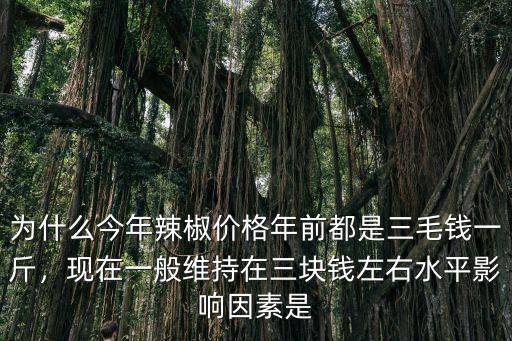廣東辣子價格多少錢一斤,目前辣椒多少錢一斤