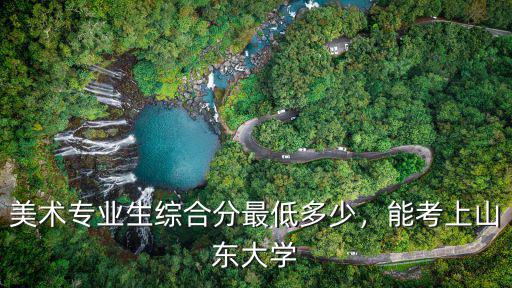 考上山東大學(xué) 多少分,美術(shù)專業(yè)生綜合分最低多少