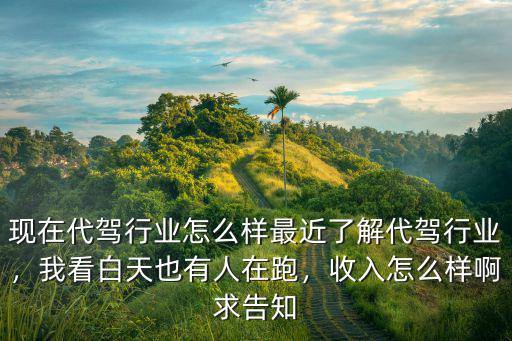 中山代駕市場怎么樣,現(xiàn)在代駕行業(yè)怎么樣