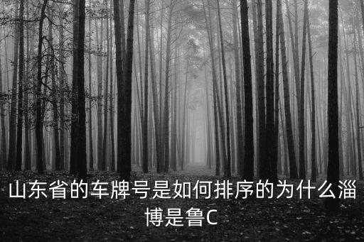 山東各個市的車牌號是多少,山東省的車牌號是如何排序的