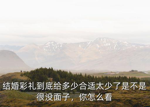 結婚彩禮到底給多少合適太少了是不是很沒面子，你怎么看