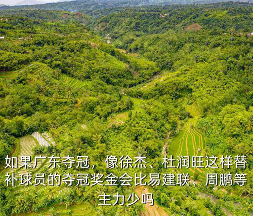 廣東隊奪冠獎金多少,如果廣東奪冠