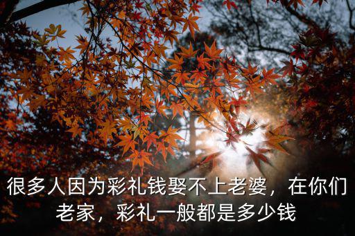 山東見面禮一般是多少人,山東省的平均彩禮是多少