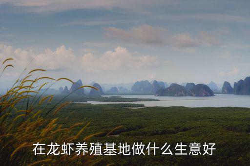 云浮小龍蝦養殖基地怎么樣,準備在老家養殖小龍蝦