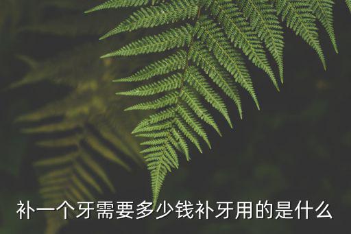 嘉興補(bǔ)牙需要多少費(fèi)用,一般補(bǔ)牙一顆多少錢