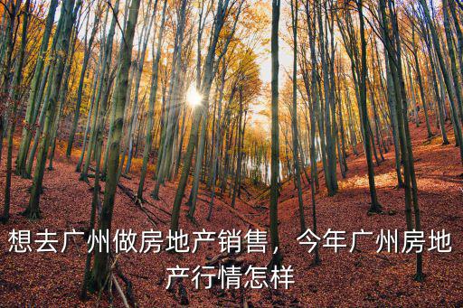 廣州樂芙信息銷售怎么樣,想去廣州做房地產(chǎn)銷售