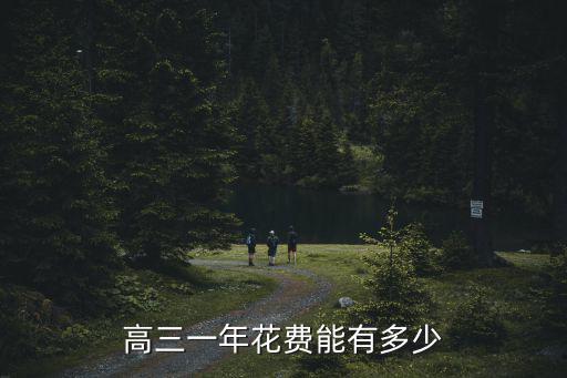 高三一年花費能有多少