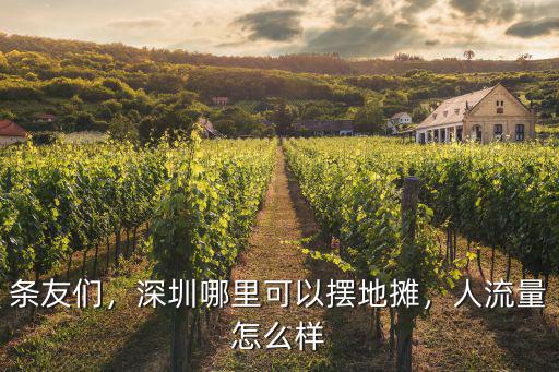 條友們，深圳哪里可以擺地攤，人流量怎么樣