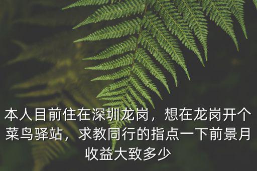 本人目前住在深圳龍崗，想在龍崗開個菜鳥驛站，求教同行的指點一下前景月收益大致多少