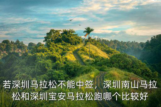 深圳馬拉松是從哪里到哪里買,若深圳馬拉松不能中簽