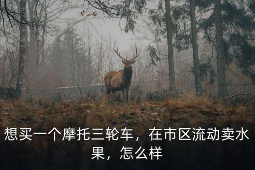想買一個摩托三輪車，在市區流動賣水果，怎么樣