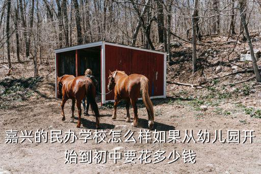 嘉興私立小學(xué)學(xué)費(fèi)多少一年,嘉興的民辦學(xué)校怎么樣
