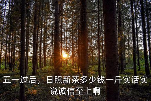 五一過后，日照新茶多少錢一斤實(shí)話實(shí)說誠信至上啊