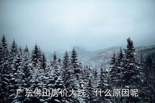 廣東佛山房價大跌，什么原因呢