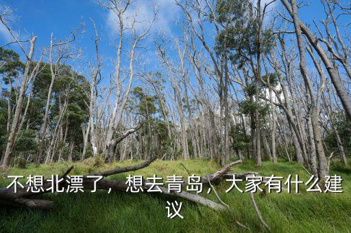 不想北漂了，想去青島，大家有什么建議