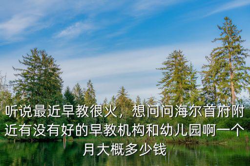 聽說最近早教很火，想問問海爾首府附近有沒有好的早教機構和幼兒園啊一個月大概多少錢