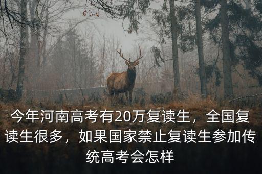 今年河南高考有20萬復讀生，全國復讀生很多，如果國家禁止復讀生參加傳統高考會怎樣