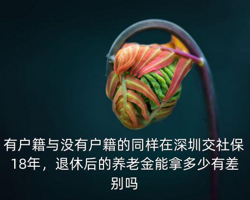 有戶籍與沒有戶籍的同樣在深圳交社保18年，退休后的養老金能拿多少有差別嗎
