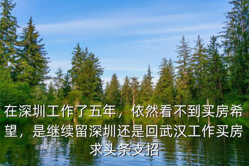 在深圳工作了五年，依然看不到買房希望，是繼續留深圳還是回武漢工作買房求頭條支招