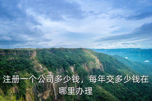 麗水公司注冊代辦一般多少費用,注冊一個公司多少錢