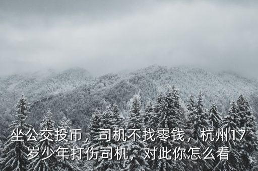 坐公交投幣，司機(jī)不找零錢，杭州17歲少年打傷司機(jī)，對(duì)此你怎么看