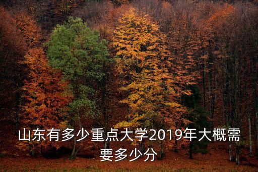 山東大學威海最低多少分,2019年大概需要多少分