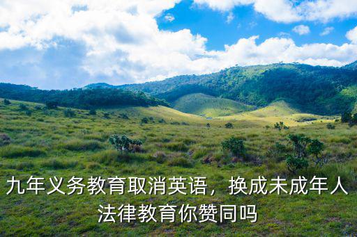 九年義務教育取消英語，換成未成年人法律教育你贊同嗎