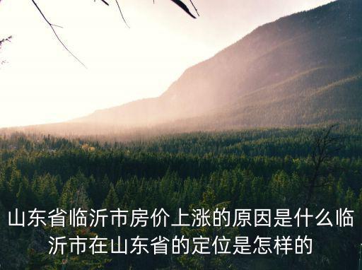山東省臨沂市房價上漲的原因是什么臨沂市在山東省的定位是怎樣的