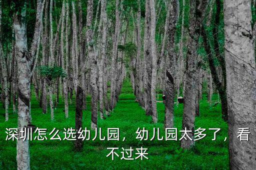 深圳怎么選幼兒園，幼兒園太多了，看不過(guò)來(lái)