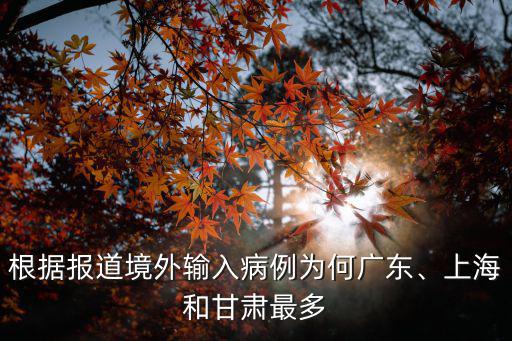 根據報道境外輸入病例為何廣東、上海和甘肅最多