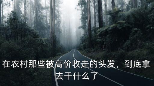 在農村那些被高價收走的頭發，到底拿去干什么了