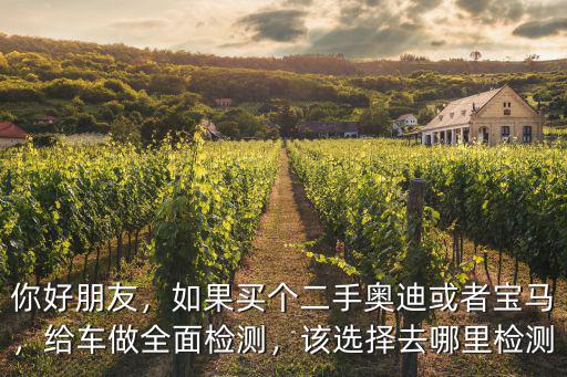 你好朋友，如果買個二手奧迪或者寶馬，給車做全面檢測，該選擇去哪里檢測