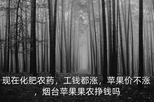 現在化肥農藥，工錢都漲，蘋果價不漲，煙臺蘋果果農掙錢嗎