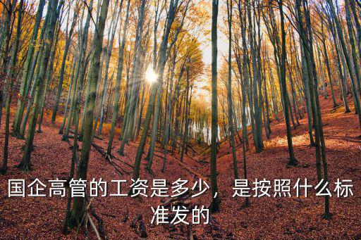 濟南國企高管工資多少,國企高管的工資是多少