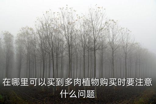 在哪里可以買到多肉植物購買時要注意什么問題