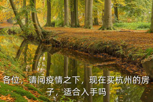 各位，請問疫情之下，現在買杭州的房子，適合入手嗎