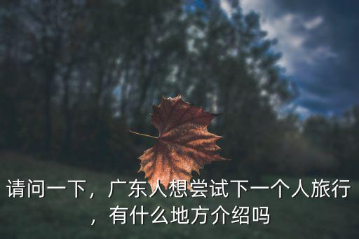 請問一下，廣東人想嘗試下一個人旅行，有什么地方介紹嗎