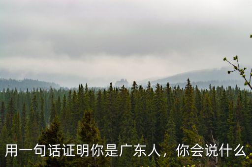 用一句話證明你是廣東人，你會說什么