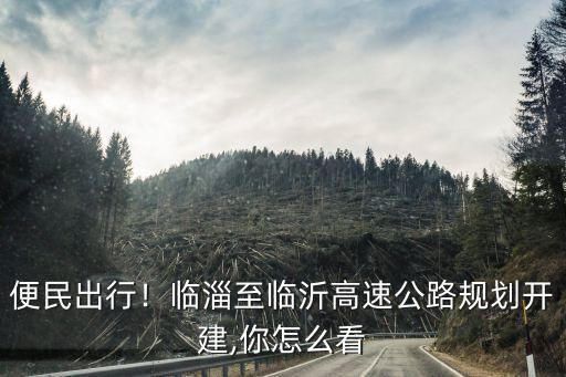 臨淄至臨沂高速分多少標段,臨淄至臨沂高速公路規(guī)劃開建