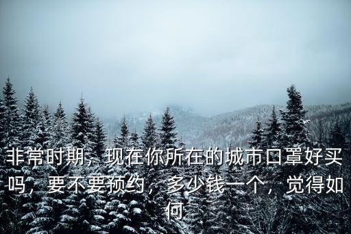 口罩實(shí)體店要到哪里買佛山,現(xiàn)在在哪還能買到口罩