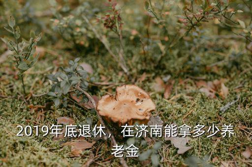 在濟(jì)南一年的養(yǎng)老金是多少,濟(jì)南退休工人平均工資是多少
