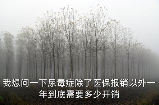 我想問一下尿毒癥除了醫保報銷以外一年到底需要多少開銷