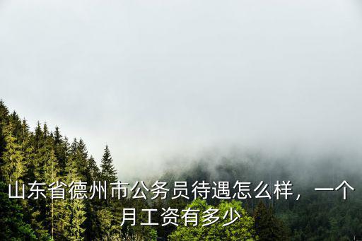 山東省德州市公務員待遇怎么樣，一個月工資有多少