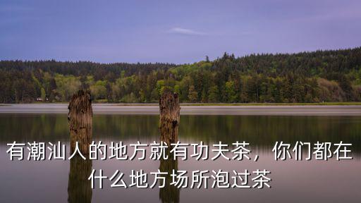 附近哪里有喝茶的地方潮州,有潮汕人的地方就有功夫茶
